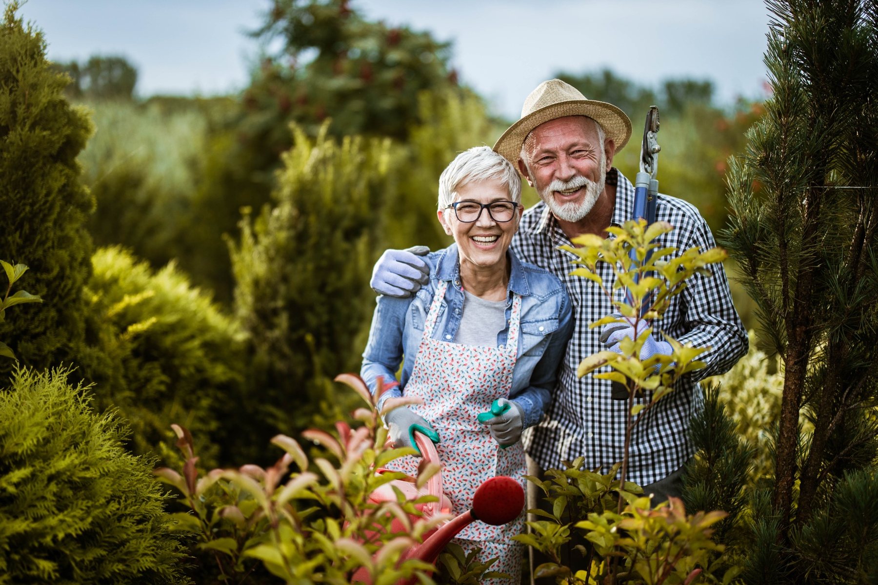 Älteres Paar bei leichter gemeinsamer Gartenarbeit